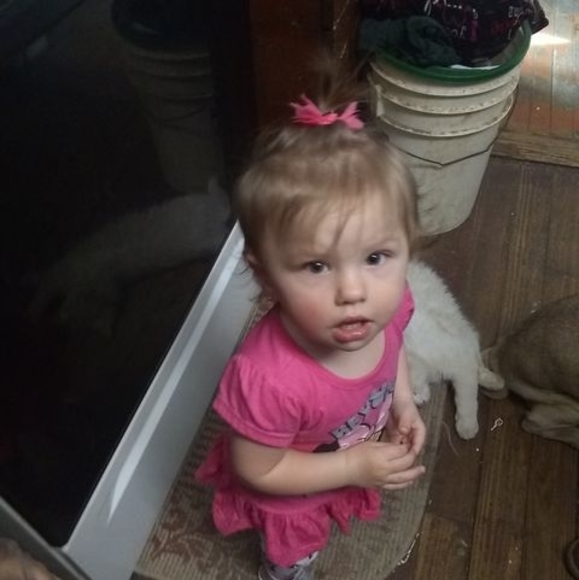 Meet your Posher, Chase - Picture 1 of 1